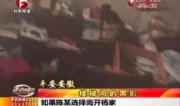 山东老太爆料事件真相视频